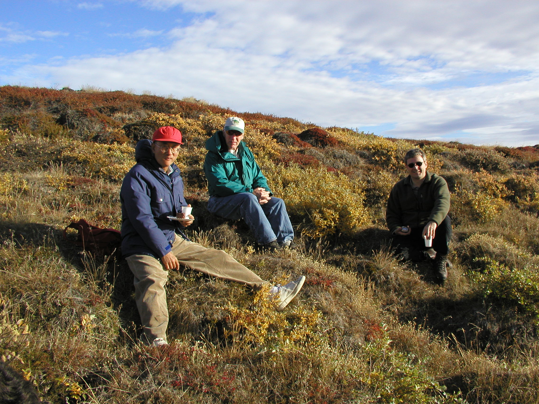 OLYMPUS DIGITAL CAMERA